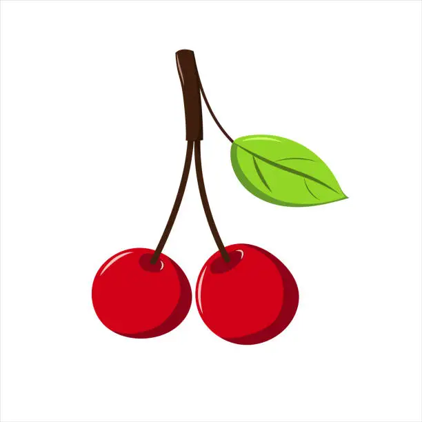 Vector illustration of Two red cherries with a green leaf.