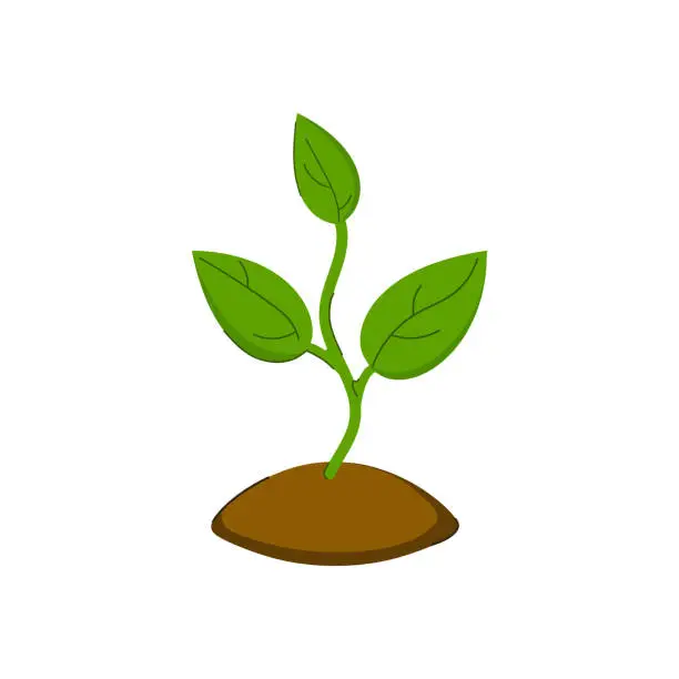 Vector illustration of The sprout of a plant sprouted on a piece of ground.