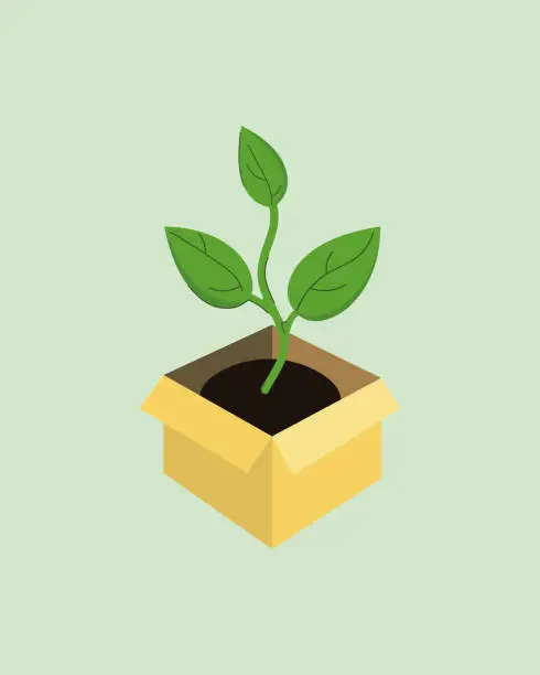 Vector illustration of Plant sprout with leaves in a box.