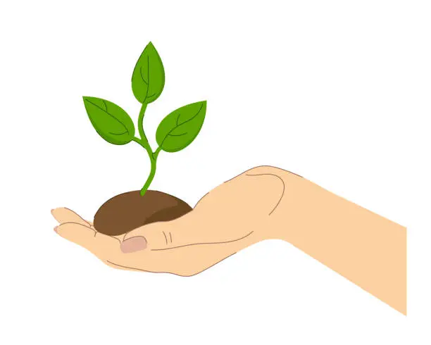 Vector illustration of Man's hand with the sprout of the plant and the earth.