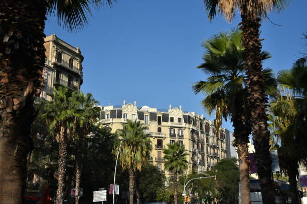 Barcelona, Catalonia- Spain- 10-17-2023: Typical street scene with palm trees near the Sagrada Familia.