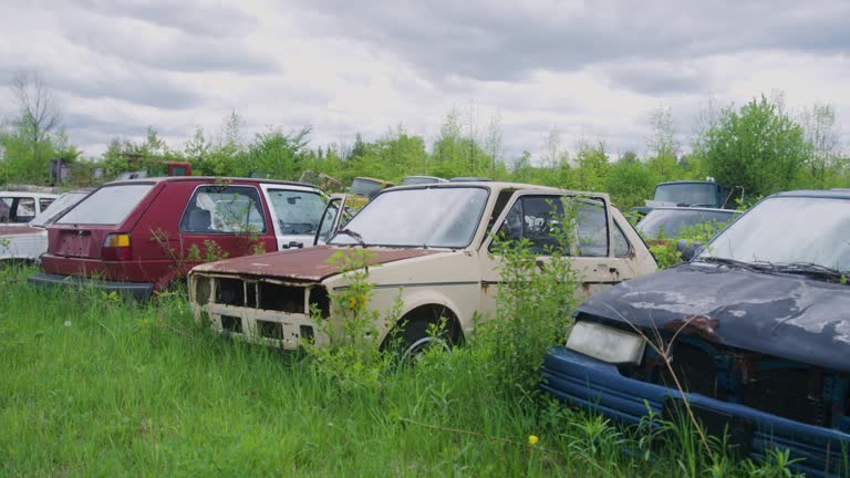 Wide shot of a collection of vintage cars sitting in the grass with parts taken off them.