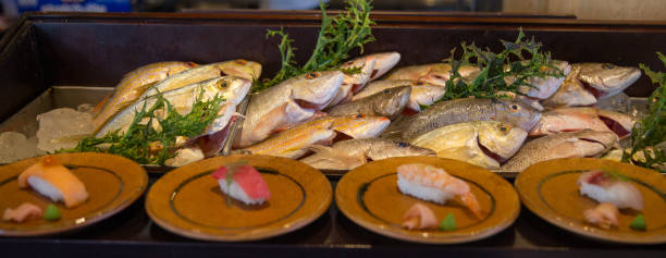 Sushi Displayed with fresh fish