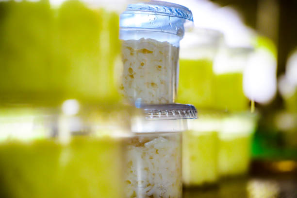 istock Thai sweet fermented rice or Khao Mak in plastic cup 2067213558