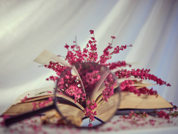 Through round magnifying glass of colorful pink heather twigs on opened book placed on table against white background in light studio