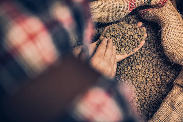 istock hand holding raw material coffee beans 2067358790