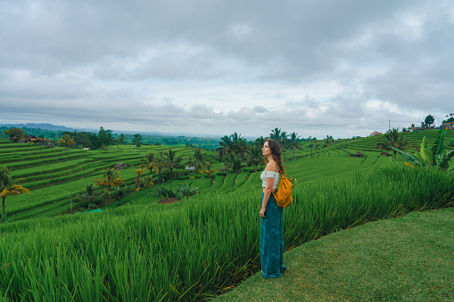 Woman in elegant clothing with backpack walking on rice field and discover asian culture while traveling