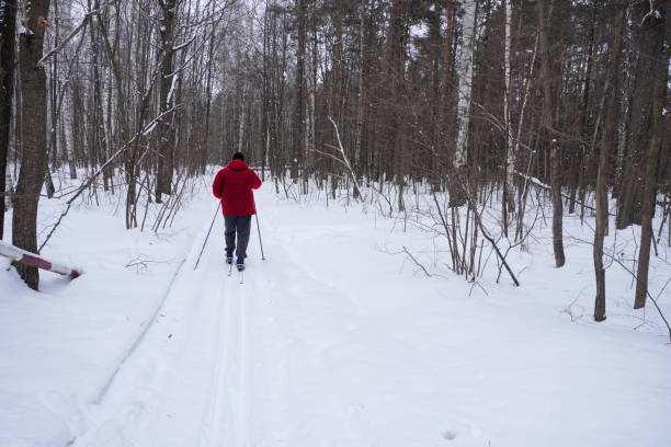 istock man 50 years old skiing in the forest in winter 2067371854