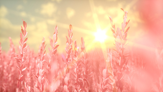 Spring background. Digitally generated image. 3d render.