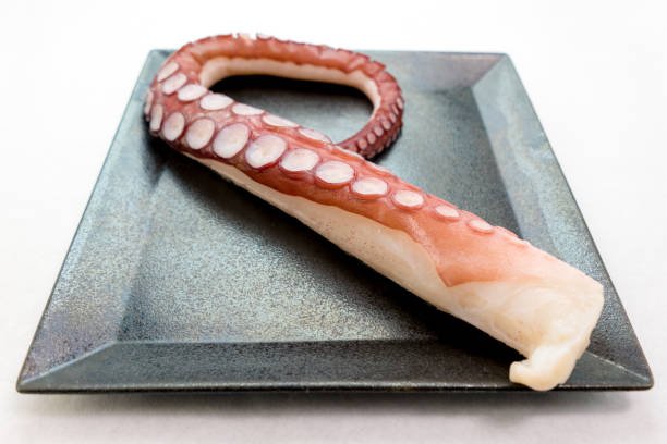 istock Octopus legs with lots of suckers 2067515377