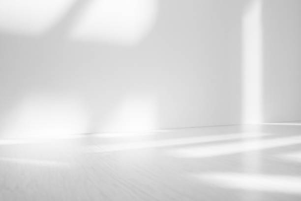 istock Wall interior background, studio and backdrops show products.with shadow from window color white . background for text insertion and presentation product 2067520639