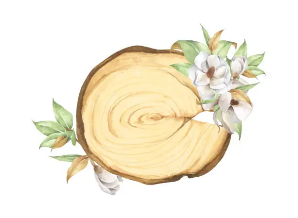 Vector illustration of Wooden slice with floral decoration. Watercolor illustration.