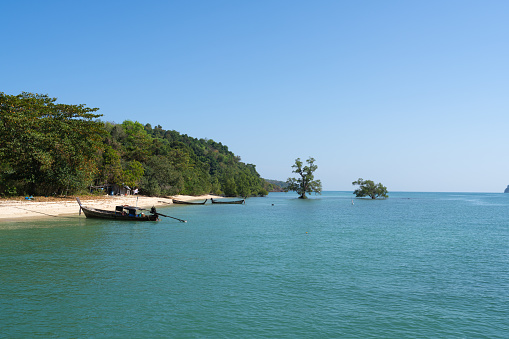 Naka Island in Phuket, beach and trees in the sea