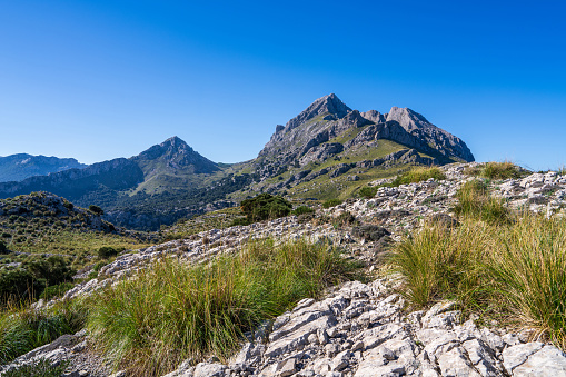 Amazing landscapes of Mallorca. Majestic mountains covered with greenery, Sunny day. Mallorca, Spain, Balearic Islands
