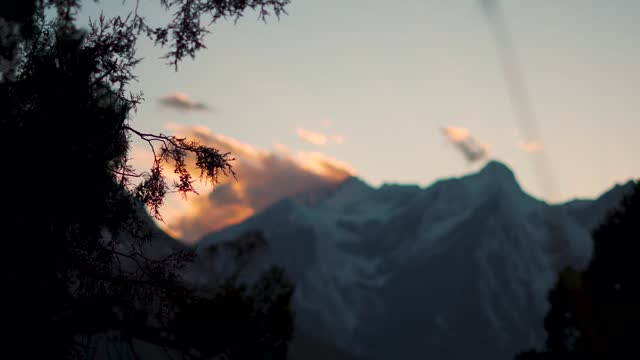 4K Closeup silhouette shot of a juniper tree branch in front of the orange clouds during the sunset at Lahaul Valley in Himachal Pradesh, India. Silhouette of juniper tree in front of Himalayas