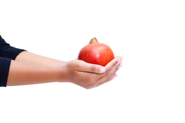 Woman hand holding red pomegranate isolated on white background.