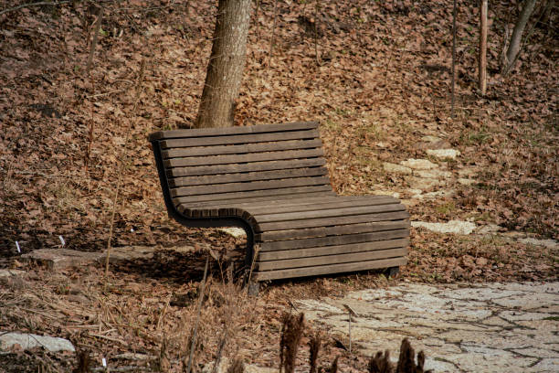 Lonely bench in a park. Park bench, concept of a weekend and relaxation.