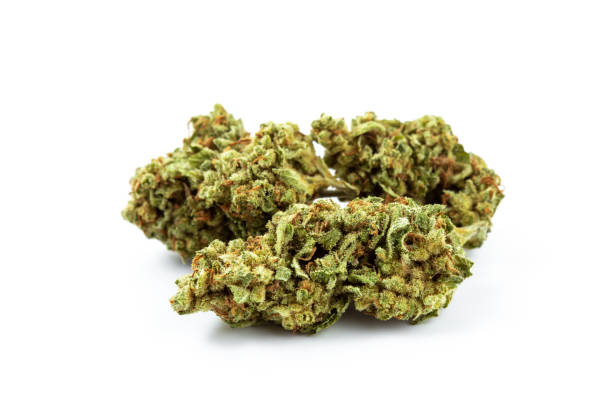 istock cannabis flower on white background 2067678333