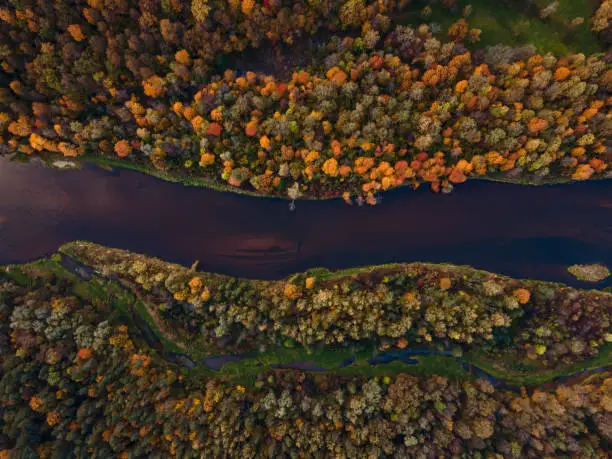 aerial view of a winding river flowing through a vibrant autumn forest with a palette of fall colors reflecting in the water's surface