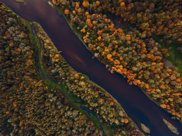 aerial view of a winding river flowing through a vibrant autumn forest with a palette of fall colors reflecting in the water's surface