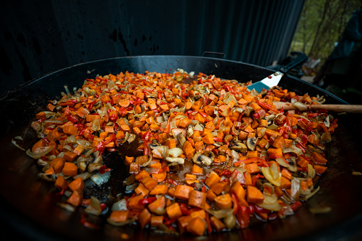 colorful chopped vegetables stir-fried in a large pan, perfect for camping and outdoor tourism meals