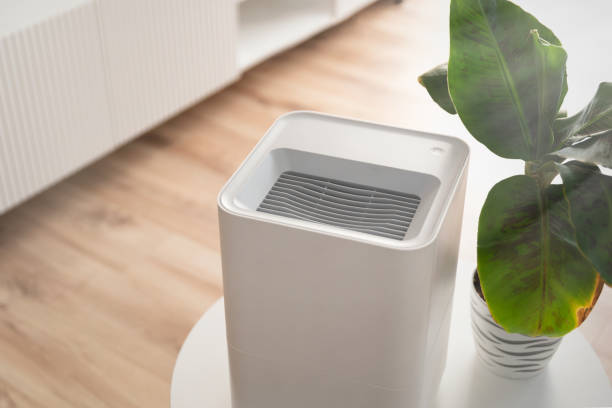 istock Modern air humidifier in living room 2067711266