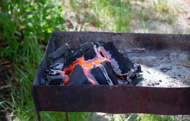 istock firewood is burning in the barbecue.nature. 2067722692
