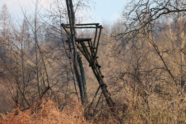 Observation tower for hunters overlooking the open pool.