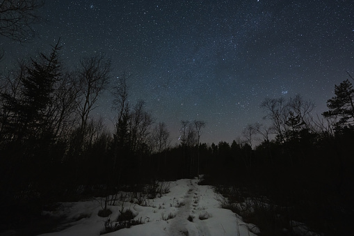 Landscape astrophoto of Estonian nature in winter. Forest road and starry sky. High quality photo