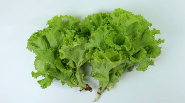 istock Fresh lettuce leaves close up on white background 2067757261