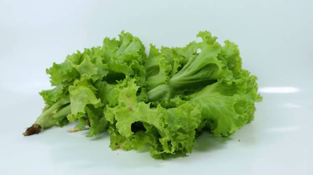Fresh lettuce leaves close up on white background