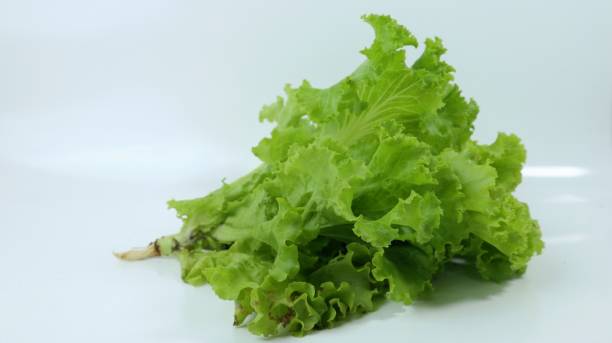 istock Fresh lettuce leaves close up on white background 2067758888