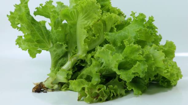 istock Fresh lettuce leaves close up on white background 2067758894