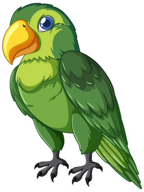 ярко-зеленый мультяшный попугай, стоящий - parrot multi colored bird perching stock illustrations