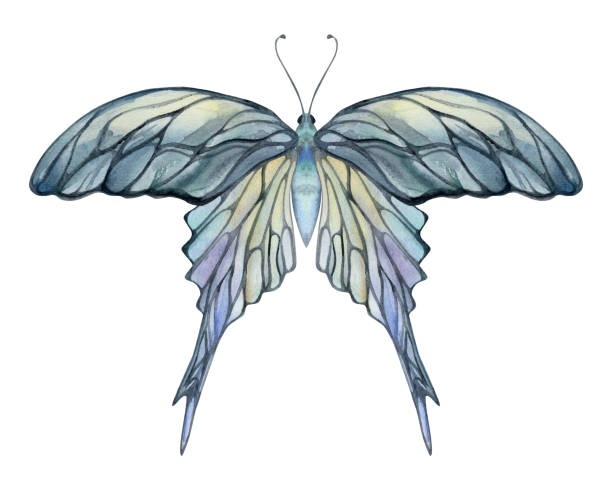 istock Hand drawn watercolor illustration butterfly fairy wings gem crystal insect moth. Opal moonstone pearl labradorite. Set of objects isolated on white background. Design print, shop, wedding, birthday 2067787525