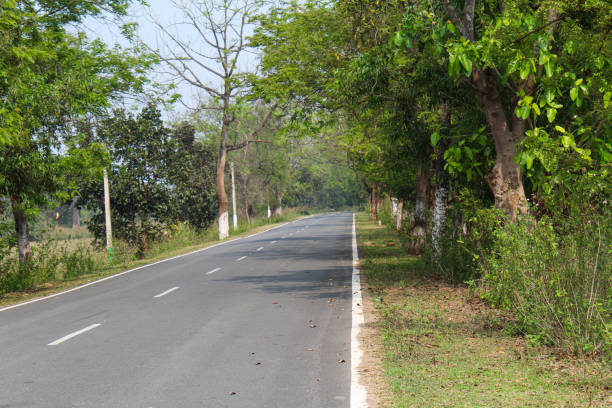 istock Beautiful view of highway with forest 2067799166