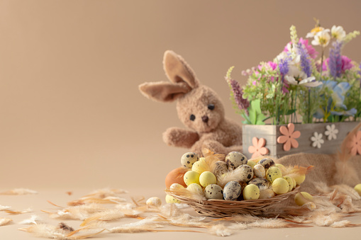 Easter eggs, feathers, spring flowers, and toy bunny on a beige background. Focus on a foreground.