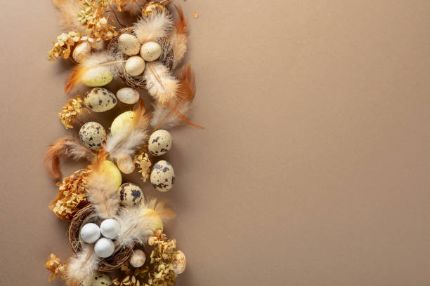 istock Easter composition with quail eggs, feathers, and dried flowers. 2067806329