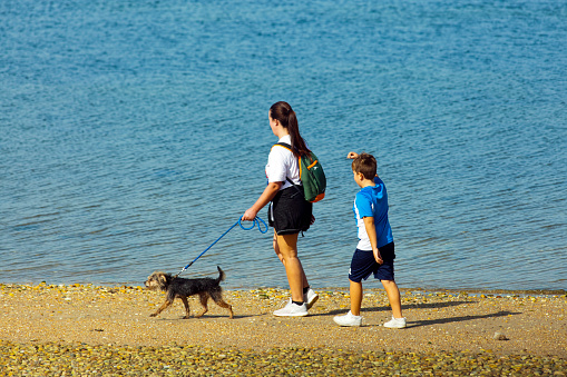 Mother, boy  and dog walking on the beach. Vilagarcía de Arousa, Rías Baixas, Pontevedra province, Galicia, Spain.