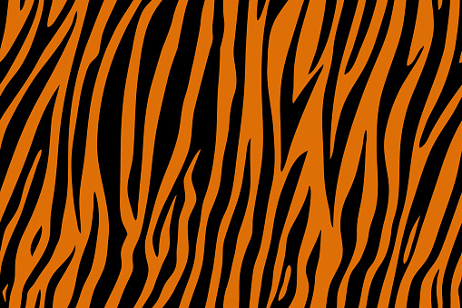 Tiger skin, Seamless animal pattern for textile design