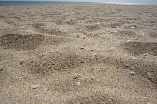 A sandy beach with shell fragments