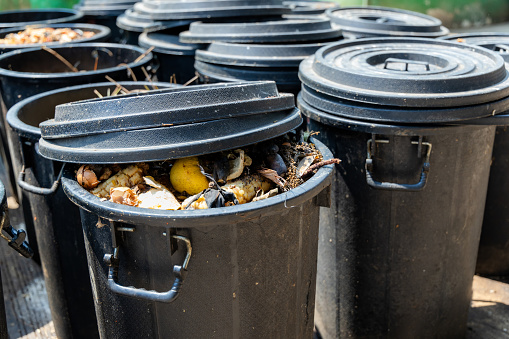 Food scraps full in bin produced from the food industry, cafes, restaurants and kitchen homes. Waste management and food waste composting concept.