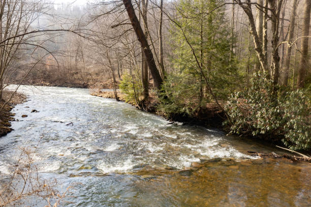 istock Creek in Grampian, Pa. USA 2067939433