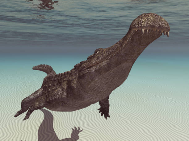 istock Prehistoric crocodile Sarcosuchus underwater 2067973540