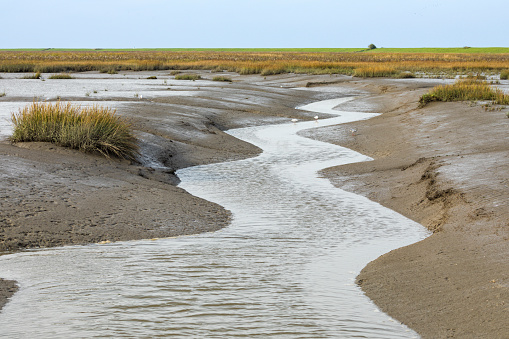 A tidal channel at Langwarder gGroden, part of Lower Saxon Wadden Sea National Park