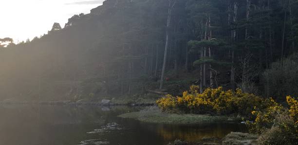 istock Ireland Road trip 2068023316