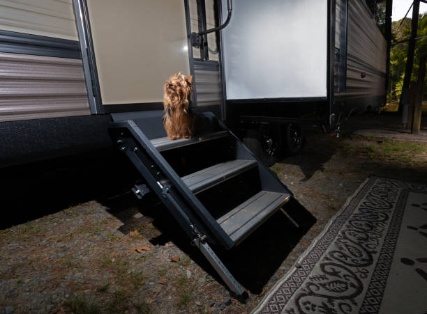 istock Doggie eager to get into the travel trailer 2068034075