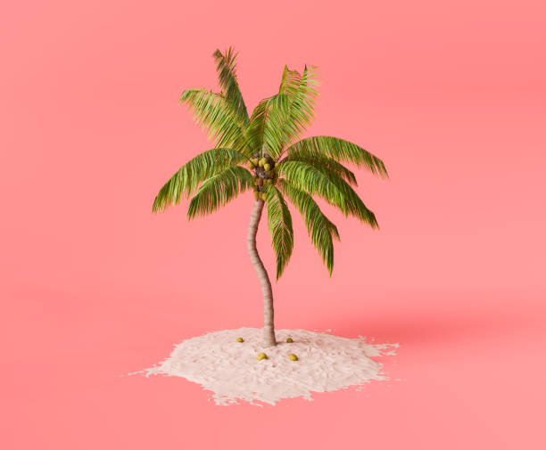 istock Minimalist Palm Tree on Red Background with White Sand 2068048517
