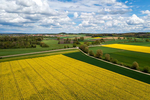 Spring rural landscape with green and yellow fields and blue sky with white clouds, aerial view.