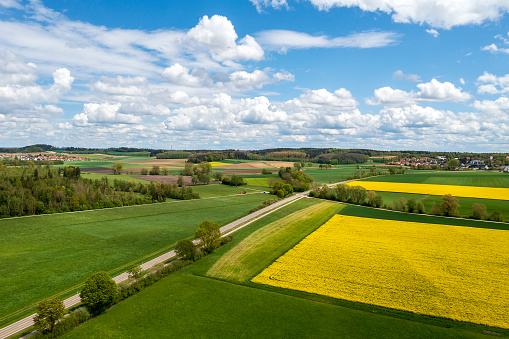 Spring rural landscape with yellow and green agricultural fields and blue sky with white clouds, aerial view.
